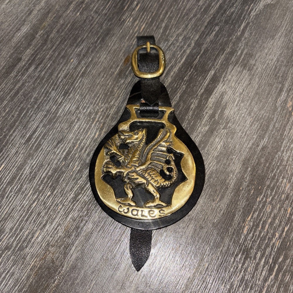 vintage leather Dragon strap brass medallion